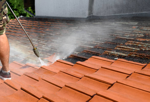 Best Affordable Power Washing  in San Carlos, TX