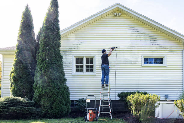 Deck Cleaning Services in San Carlos, TX